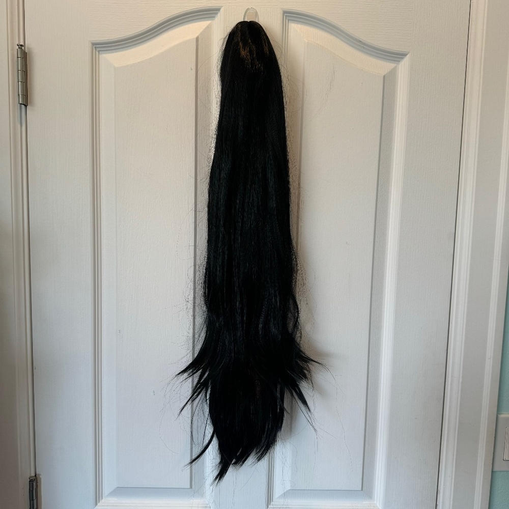 Black Straight Wig NWT